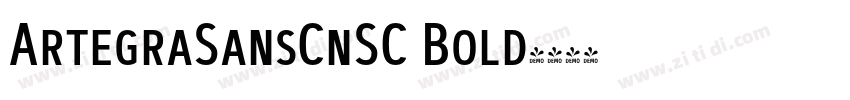 ArtegraSansCnSC Bold字体转换